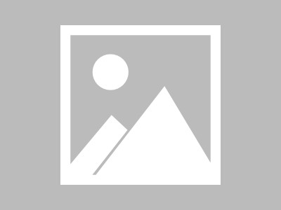 浙江与非判断型商贸合作深度探索与未来展望